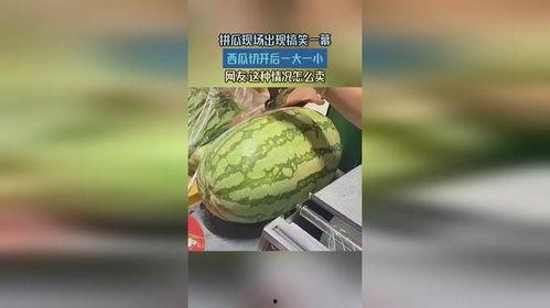 吃瓜搞笑现场视频大全集,笑料横生！吃瓜搞笑现场视频大全集精彩回顾