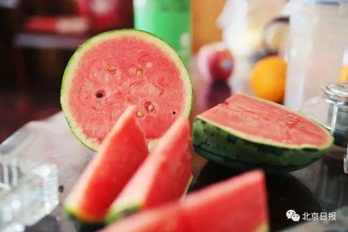 吃冷冻瓜视频,揭秘冷冻瓜的神奇魅力 第2张 吃冷冻瓜视频,揭秘冷冻瓜的神奇魅力 第2张