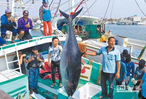 渔民去台湾吃瓜视频,一场别开生面的美食之旅  第2张