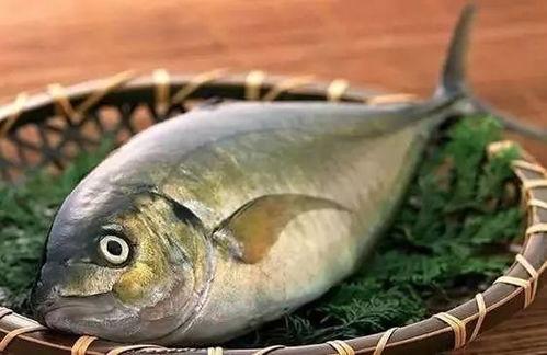 烂瓜可以喂鱼吃吗视频讲解,揭秘鱼儿美食的环保新选择 第2张 烂瓜可以喂鱼吃吗视频讲解,揭秘鱼儿美食的环保新选择 第2张