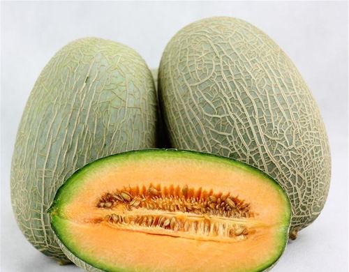 迪哥吃哈密瓜的视频,迪哥畅享哈密瓜美味时光  第3张