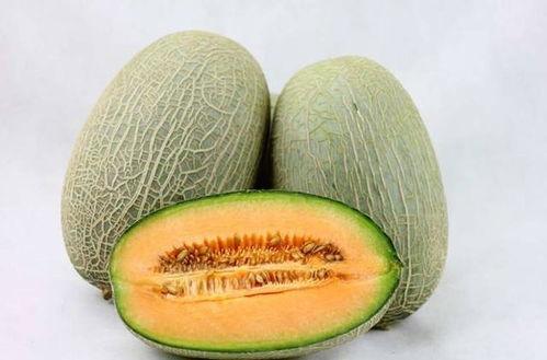 潮汕人吃哈密瓜视频,哈密瓜的独特吃法,视频带你领略潮汕美食魅力 第2张 潮汕人吃哈密瓜视频,哈密瓜的独特吃法,视频带你领略潮汕美食魅力 第2张