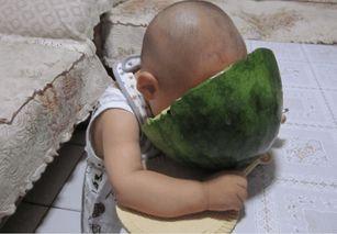 幼儿吃嫩瓜的危害视频,揭秘潜在危害  第2张