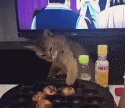 二哥喝酒吃瓜视频在线观看,畅饮美酒，品味人生，在线观看吃瓜盛宴  第3张