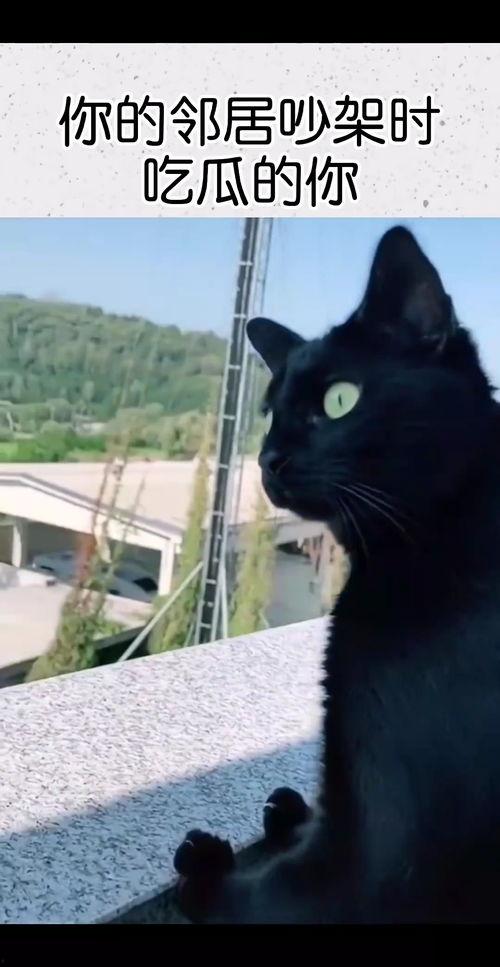 邻居吵架吃瓜的视频,吃瓜群众围观一幕