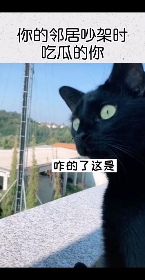 邻居吵架吃瓜的视频,吃瓜群众围观一幕  第2张