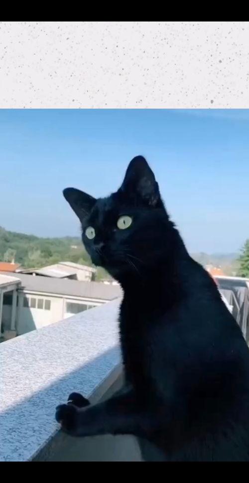 邻居吵架吃瓜的视频,吃瓜群众围观一幕  第3张