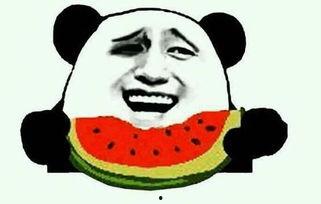 蔡二哥吃瓜视频大全下载  第2张