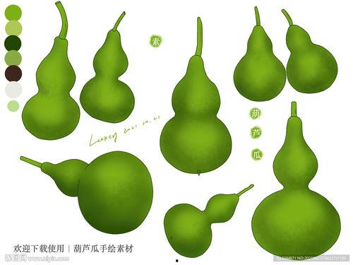 吃葫芦瓜视频素材下载,视频素材中的美味探索  第2张