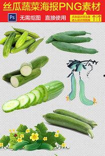 吃葫芦瓜视频素材下载,视频素材中的美味探索  第3张