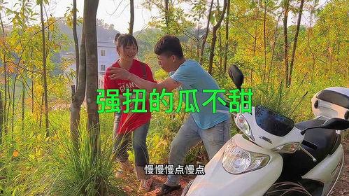 农村吃洋瓜视频播放,视频播放背后的田园生活画卷  第3张