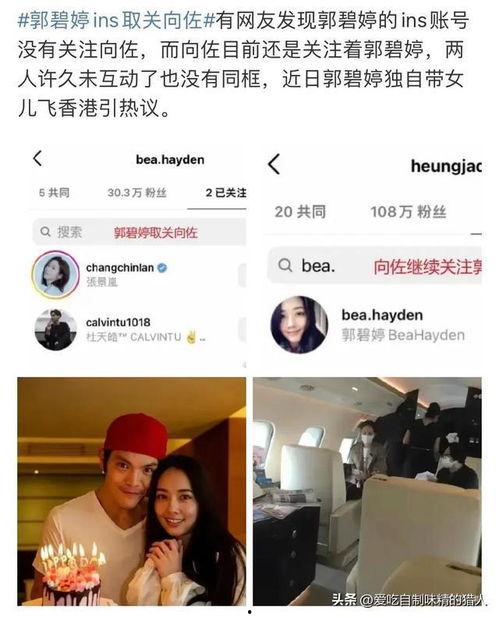 带你吃大瓜视频,带你揭秘“带你吃大瓜”视频背后的热门话题与趣味瞬间 第2张 带你吃大瓜视频,带你揭秘“带你吃大瓜”视频背后的热门话题与趣味瞬间 第2张