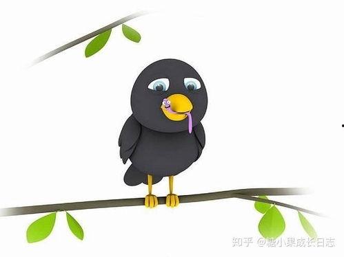 幸福鸟吃瓜视频大全下载,趣味横生的欢乐时光回顾  第2张