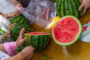 襄阳人吃瓜视频,揭秘当地独特美食文化  第3张