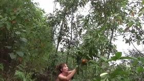 摘西瓜现场吃瓜视频大全,摘西瓜视频大全精彩回顾 第2张 摘西瓜现场吃瓜视频大全,摘西瓜视频大全精彩回顾 第2张