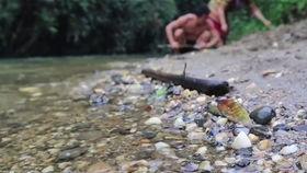 摘西瓜现场吃瓜视频大全,摘西瓜视频大全精彩回顾 第3张 摘西瓜现场吃瓜视频大全,摘西瓜视频大全精彩回顾 第3张