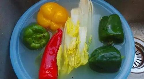 永康吃瓜最新事件爆料视频 第3张 永康吃瓜最新事件爆料视频 第3张