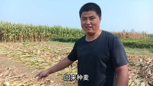 张警吃瓜视频大全  第2张