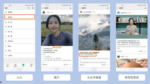 快手7b视频吃瓜,揭秘吃瓜群众的狂欢盛宴 第3张 快手7b视频吃瓜,揭秘吃瓜群众的狂欢盛宴 第3张
