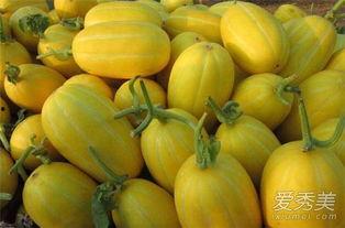 香蕉吃瓜视频,一场视觉与味蕾的双重盛宴 第2张 香蕉吃瓜视频,一场视觉与味蕾的双重盛宴 第2张