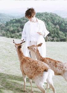 小羊白衬衫视频吃瓜 第2张 小羊白衬衫视频吃瓜 第2张