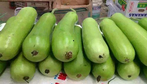 瓠瓜需要削皮吃吗视频 第3张 瓠瓜需要削皮吃吗视频 第3张