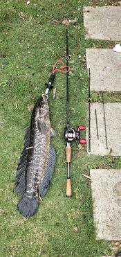 吃瓜群众在线钓鱼视频大全 第3张 吃瓜群众在线钓鱼视频大全 第3张