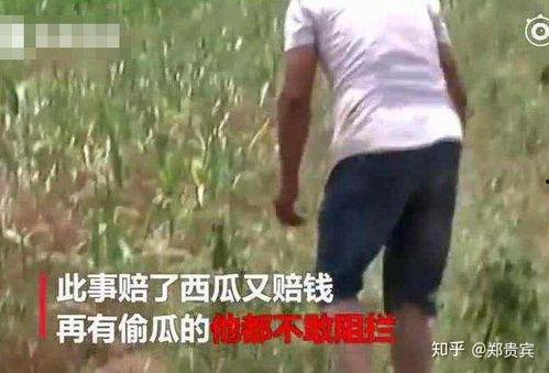 开平网红吃瓜事件视频,一场网络狂欢背后的真相揭秘  第3张