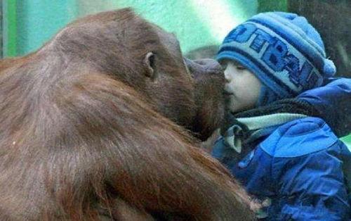 中国女孩猩猩吃瓜视频,揭秘网络红人现象背后的故事  第3张