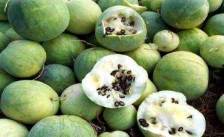 黑瓜吃料视频51吃瓜,揭秘娱乐圈幕后真相  第3张