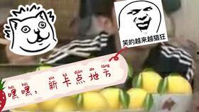 卖货吃瓜搞笑视频在线观看,在线观看乐翻天  第3张