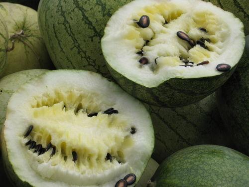 日本看中国吃无籽瓜视频,中国无籽瓜，口感独特引发热议！  第2张