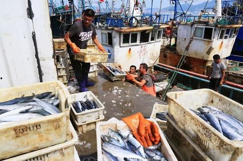 渔民出海吃瓜视频大全,瓜田里的欢乐时光视频集锦  第2张