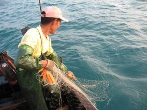 渔民出海吃瓜视频大全,瓜田里的欢乐时光视频集锦  第3张