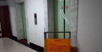 电梯吃瓜事件真实视频,真实还原“吃瓜”事件现场 第2张 电梯吃瓜事件真实视频,真实还原“吃瓜”事件现场 第2张