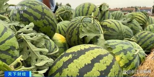 最新菏泽吃瓜事件视频 第2张 最新菏泽吃瓜事件视频 第2张