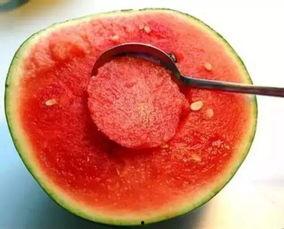 娱乐吃瓜酱美玉视频大全,美玉视频大全精彩回顾 第2张 娱乐吃瓜酱美玉视频大全,美玉视频大全精彩回顾 第2张