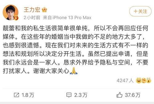 为什么总赶不上吃瓜视频,为何总是错过热门吃瓜视频 第3张 为什么总赶不上吃瓜视频,为何总是错过热门吃瓜视频 第3张