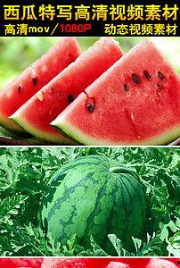 吃瓜了会中毒吗视频大全,吃瓜了会中毒吗?视频大全深度解析 第3张 吃瓜了会中毒吗视频大全,吃瓜了会中毒吗?视频大全深度解析 第3张