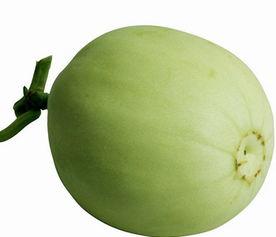 爸爸吃梨瓜视频,趣味横生的美食体验  第3张