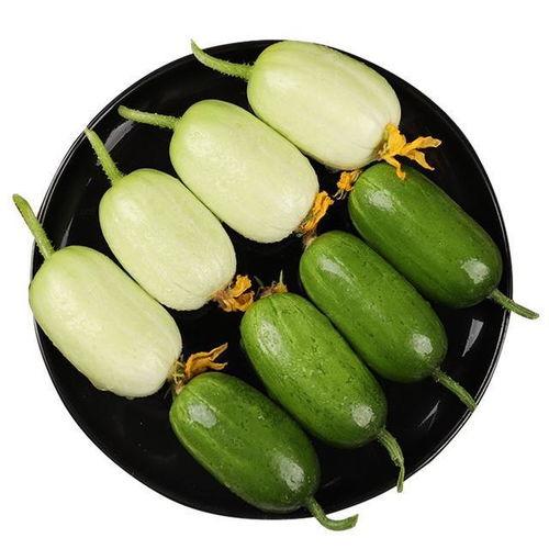 椭圆瓜怎么吃最好吃视频,视频教你如何吃出最佳口感