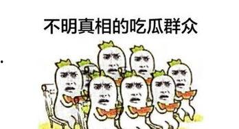我是吃瓜群众完整视频,一场网络现象的深度剖析