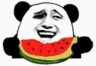 我是吃瓜群众完整视频,一场网络现象的深度剖析  第2张