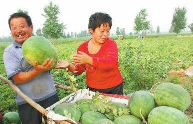 山西交城县吃瓜事件视频,山西交城“吃瓜事件”视频引发热议  第3张