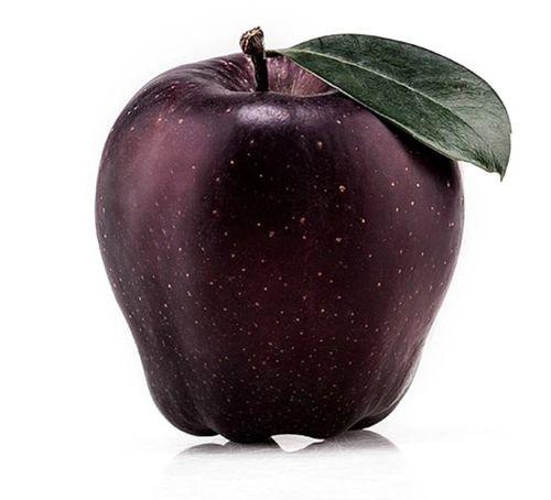 黑饱宝吃瓜视频,揭秘娱乐圈幕后真相