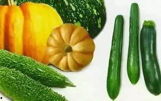 黑饱宝吃瓜视频,揭秘娱乐圈幕后真相  第2张