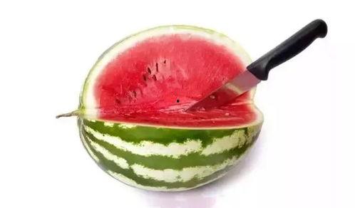 吃高端瓜的视频,揭秘视频中的奢华美食之旅  第2张