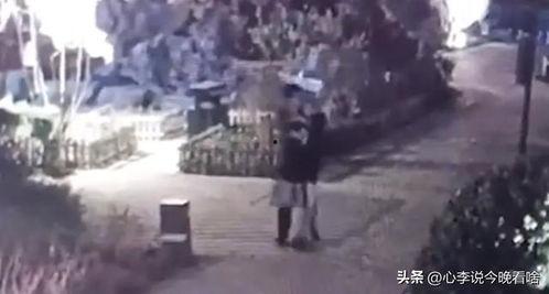 吃瓜真实事件炸裂视频,揭秘幕后真相  第2张