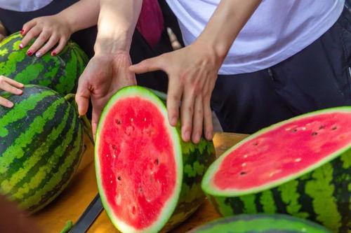 兰州高校吃瓜视频,揭秘校园生活趣味瞬间 第2张 兰州高校吃瓜视频,揭秘校园生活趣味瞬间 第2张