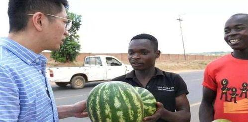 美国人在网上吃瓜视频,网上的“瓜”怎么这么香？  第3张